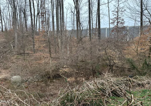 4th image of 0 Crooked Run Rd, Rural Hall, NC 27045 | MLS# 10120871