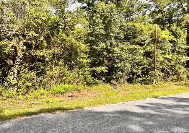 Homes for sale in Laurinburg, NC | 8061 S Green Acres Rd, Laurinburg, NC 28352 | MLS# 749230