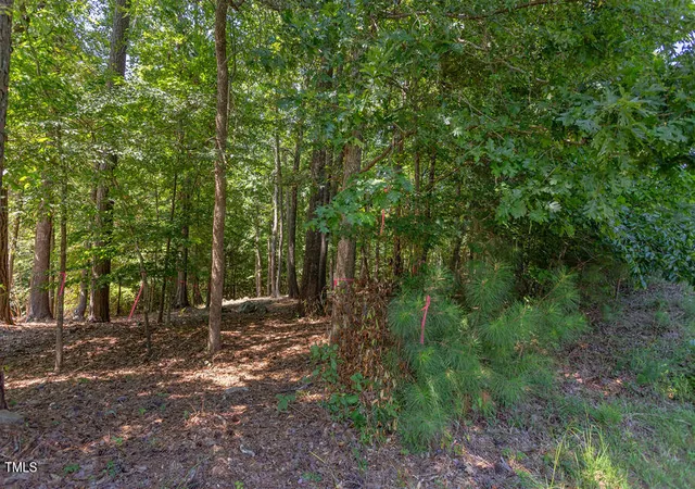 4th image of 204 Alta Ct, Chapel Hill, NC 27514 | MLS# 10119584