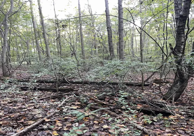 Photo 3 of Land for sale at 2865 Silk Hope Gum Springs Rd, Pittsboro, NC 27312 | MLS# 10119404 | Listing updated on 2026-07-18