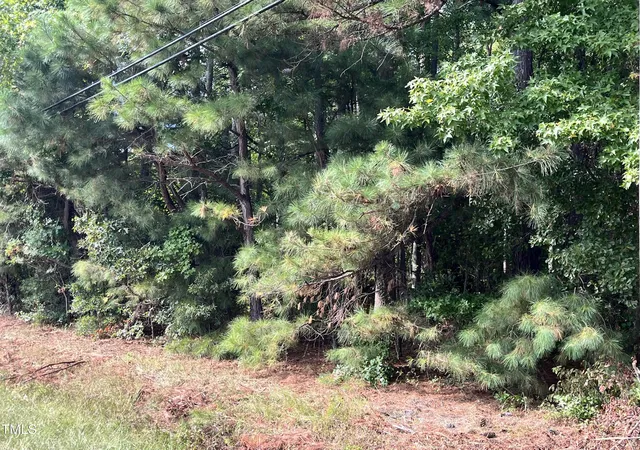 Photo 3 of Land for sale at Tbd Cokey Rd, Rocky Mount, NC 27801 | MLS# 10119617 | Listing updated on 2026-07-18