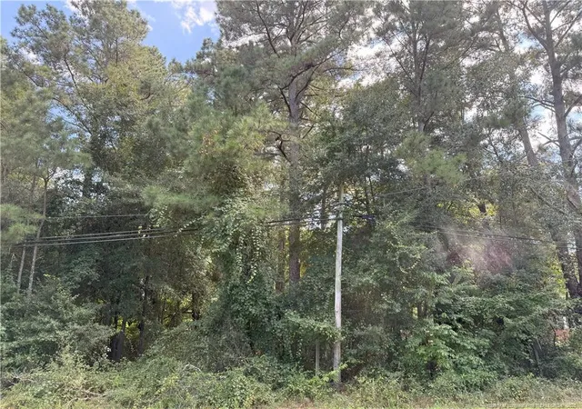 Homes for sale in Autryville, NC | Lot 3 E Williams St, Autryville, NC 28318 | MLS# 749810