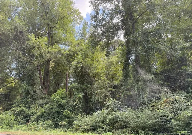Homes for sale in Autryville, NC | Lot 3 E Williams St, Autryville, NC 28318 | MLS# 749810