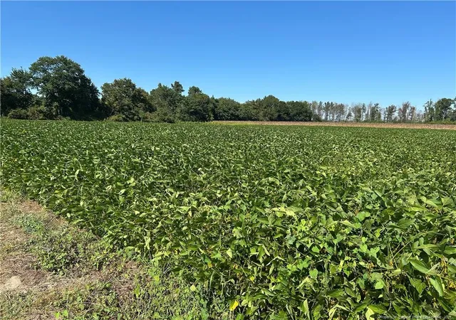 Photo 1 of Sale Pending at Mcquage Rd, Raeford, NC 28376 | MLS# 749943 | Listing updated on 2026-08-31