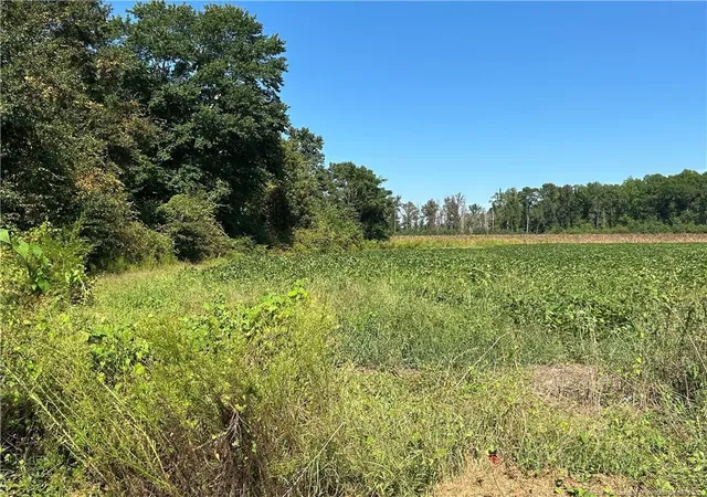 Photo 2 of Sale Pending at Mcquage Rd, Raeford, NC 28376 | MLS# 749943 | Listing updated on 2026-08-31