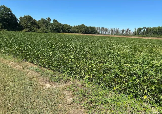 Photo 3 of Sale Pending at Mcquage Rd, Raeford, NC 28376 | MLS# 749943 | Listing updated on 2026-08-31