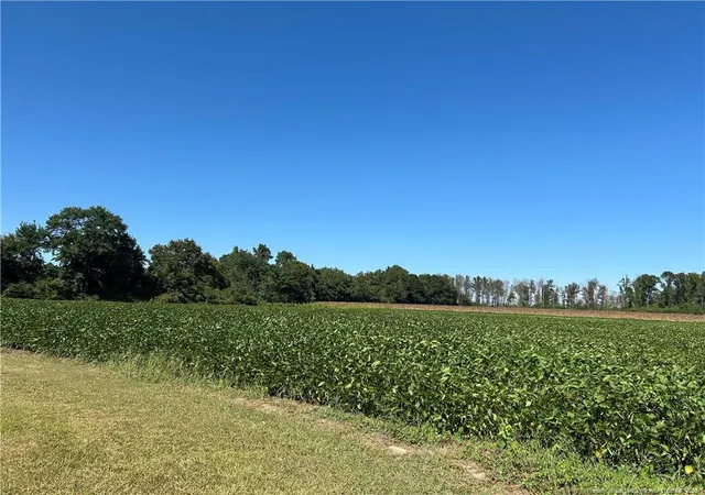 Photo 4 of Sale Pending at Mcquage Rd, Raeford, NC 28376 | MLS# 749943 | Listing updated on 2026-08-31