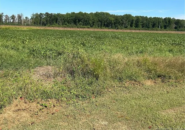 Photo 5 of Sale Pending at Mcquage Rd, Raeford, NC 28376 | MLS# 749943 | Listing updated on 2026-08-31