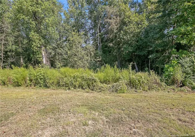 Homes for sale in Raeford, NC | 2911 Rockfish Rd, Raeford, NC 28376 | MLS# 749957