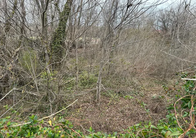 5th image of 0 Bruce St, Winston Salem, NC 27107 | MLS# 10120896