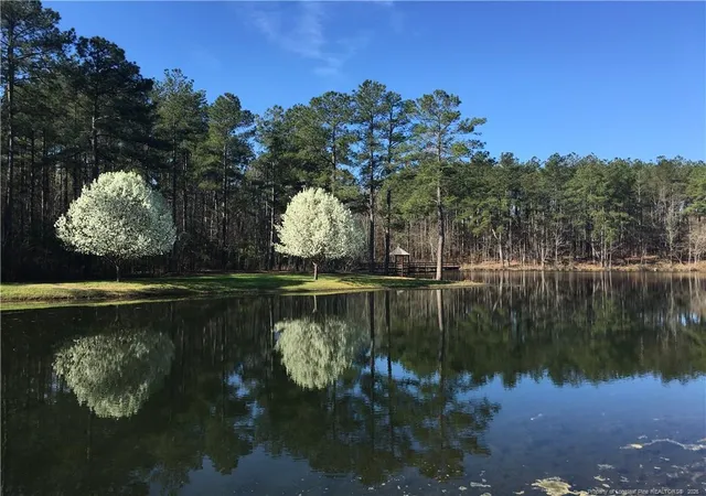 Photo 38 of Single family home for sale at 285 Education Dr, Spring Lake, NC 28390 | MLS# 749259 | Listing updated on 2026-09-01
