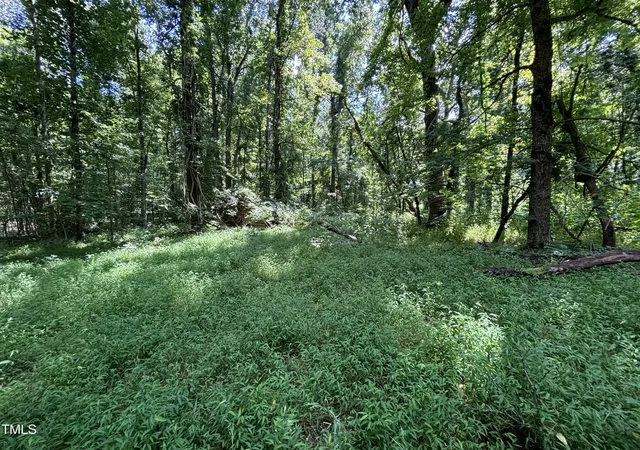 Photo 3 of Land for sale at 1400 Happy Valley Farm Dr, Hillsborough, NC 27278 | MLS# 10121657 | Listing updated on 2026-07-21
