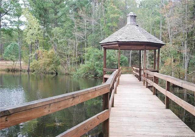 43rd image of 287 Education Dr, Spring Lake, NC 28390 | MLS# 749254