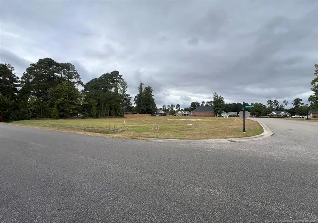 2nd image of Wesley Pines Rd, Lumberton, NC 28358 | MLS# 750190