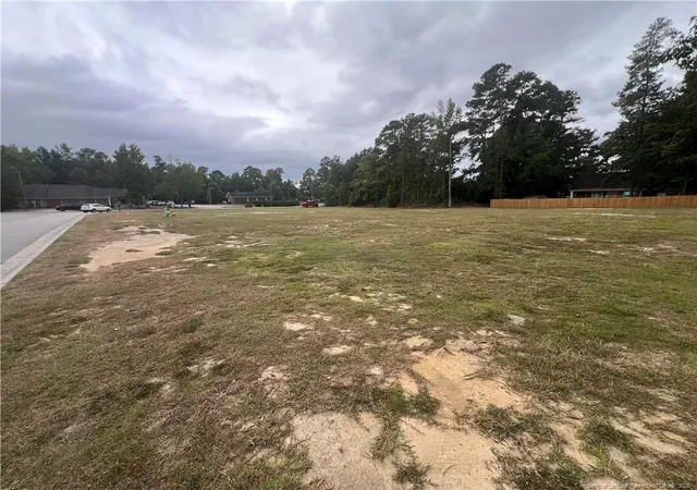 4th image of Wesley Pines Rd, Lumberton, NC 28358 | MLS# 750190