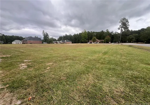 5th image of Wesley Pines Rd, Lumberton, NC 28358 | MLS# 750190