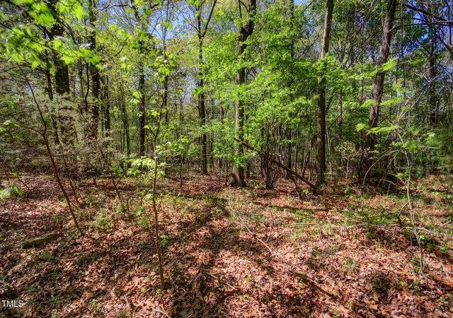 3rd image of 0 Willie Duncan Rd, Siler City, NC 27344 | MLS# 10121724