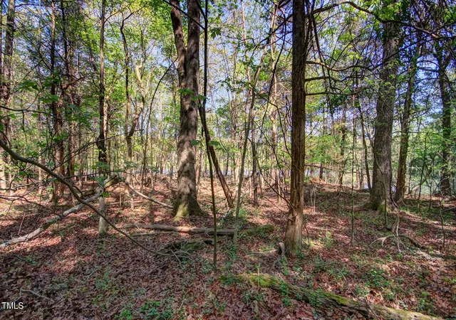 4th image of 0 Willie Duncan Rd, Siler City, NC 27344 | MLS# 10121724