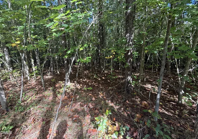 4th image of 1664 Garrett Farm Rd, Stem, NC 27581 | MLS# 10121787