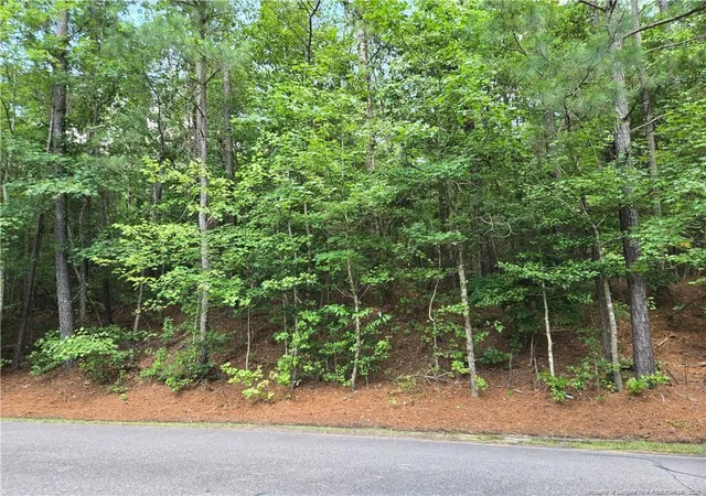 1st image of 893 Loblolly Dr, Vass, NC 28394 | MLS# 750304