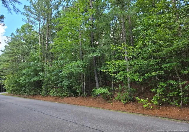 2nd image of 893 Loblolly Dr, Vass, NC 28394 | MLS# 750304