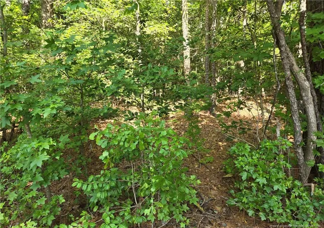 3rd image of 893 Loblolly Dr, Vass, NC 28394 | MLS# 750304