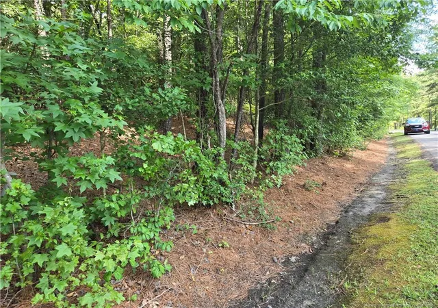 4th image of 893 Loblolly Dr, Vass, NC 28394 | MLS# 750304