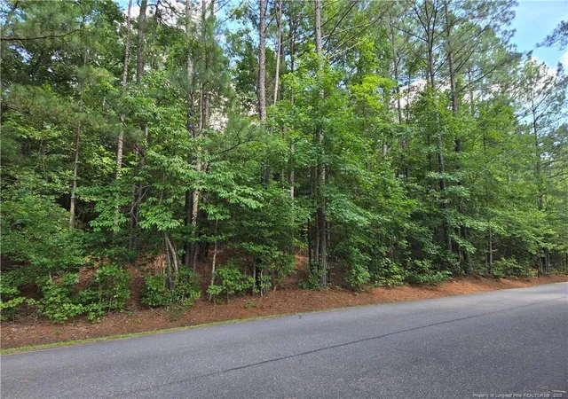 5th image of 893 Loblolly Dr, Vass, NC 28394 | MLS# 750304