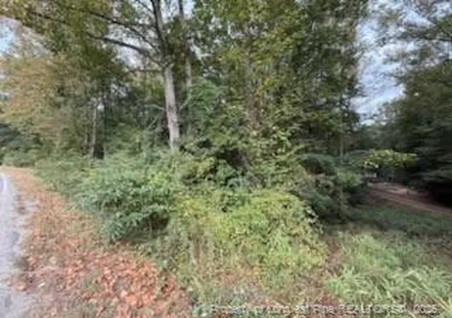 Photo 3 of Land for sale at Tbd Galestown Rd, Rockingham, NC 28379 | MLS# 750310 | Listing updated on 2026-09-18