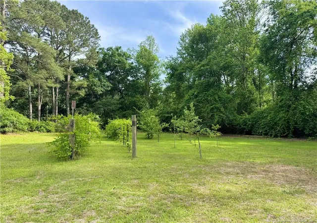 Homes for sale in Autryville, NC | 170 South River Rd, Autryville, NC 28318 | MLS# 750636