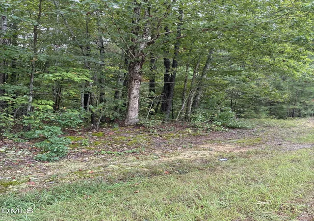 Photo 3 of Land for sale at 0 Gordon Moore Rd, Franklinton, NC 27525 | MLS# 10124779 | Listing updated on 2026-07-18