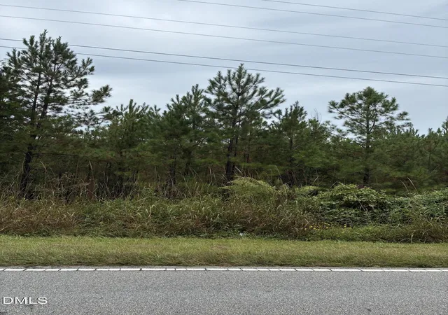 6th image of 0 Gordon Moore Rd, Franklinton, NC 27525 | MLS# 10124779