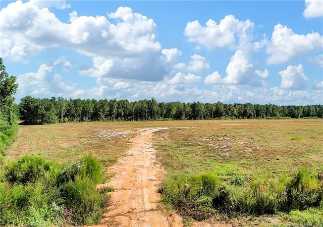 Homes for sale in Salemburg, NC | 0 Laurel Lake (lot 3r) Rd, Salemburg, NC 28385 | MLS# 751101