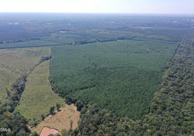 Photo 3 of Land for sale at 4093 Nc Hwy 42, Goldston, NC 27252 | MLS# 10125017 | Listing updated on 2026-07-18