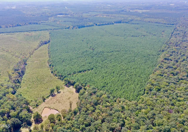 Photo 4 of Land for sale at 4093 Nc Hwy 42, Goldston, NC 27252 | MLS# 10125017 | Listing updated on 2026-07-18
