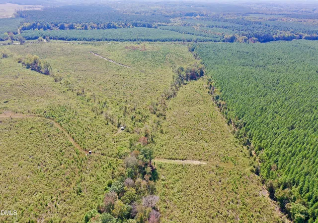 Photo 5 of Land for sale at 4093 Nc Hwy 42, Goldston, NC 27252 | MLS# 10125017 | Listing updated on 2026-07-18