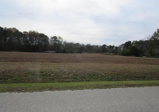 3rd image of 257 Johnson Estate Rd, Clayton, NC 27520 | MLS# 10127572