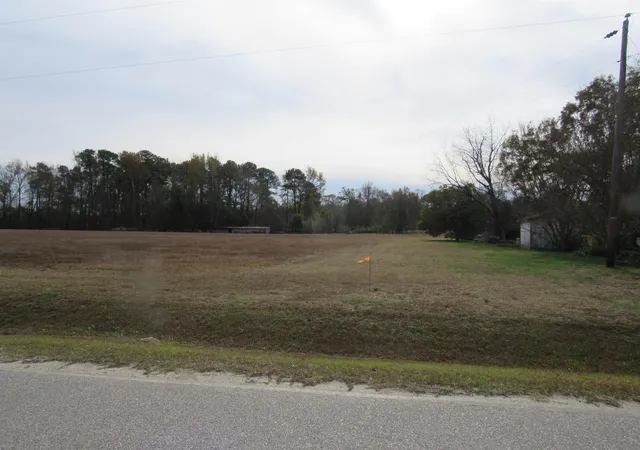 4th image of 257 Johnson Estate Rd, Clayton, NC 27520 | MLS# 10127572