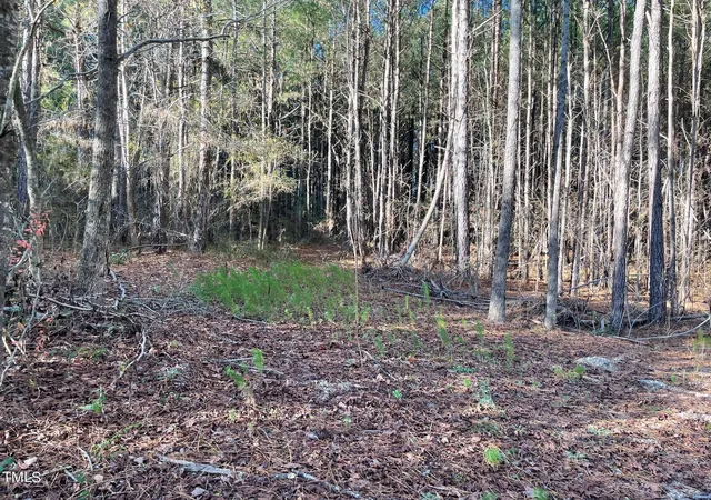 1st image of 0 Turlington Rd, Dunn, NC 28334 | MLS# 10127617