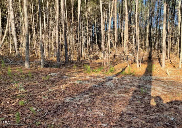 2nd image of 0 Turlington Rd, Dunn, NC 28334 | MLS# 10127617