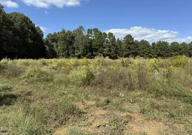 Photo 9 of Single family home for sale at 3718 Hinton Ml Ct, Franklinton, NC 27525 | MLS# 10127741 | Listing updated on 2026-07-18