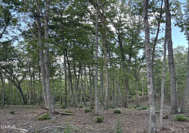 Photo 3 of Sale Pending at 4464 5304 Nc 42, New Hill, NC 27562 | MLS# 10130171 | Listing updated on 2026-07-18