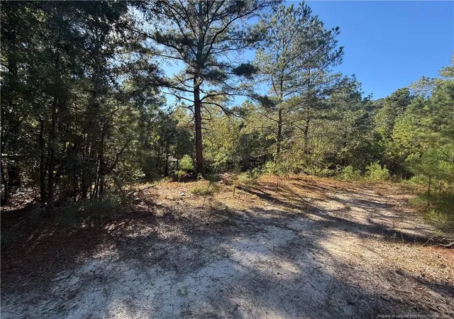 11th image of 2608 Blowing Rock Ct, Hope Mills, NC 28348 | MLS# 752035