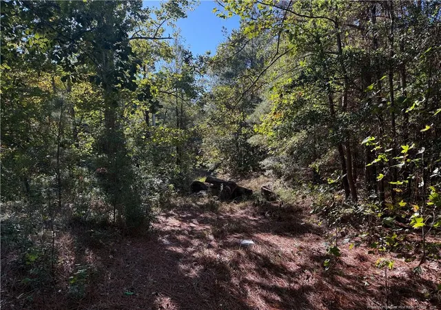 2nd image of 2608 Blowing Rock Ct, Hope Mills, NC 28348 | MLS# 752035