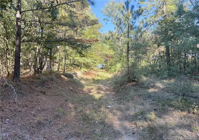 3rd image of 2608 Blowing Rock Ct, Hope Mills, NC 28348 | MLS# 752035