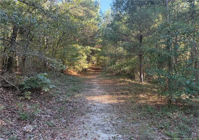 4th image of 2608 Blowing Rock Ct, Hope Mills, NC 28348 | MLS# 752035