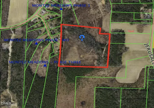 Homes for sale in Kenly, NC | 0 Junior Rd, Kenly, NC 27542 | MLS# 10131088