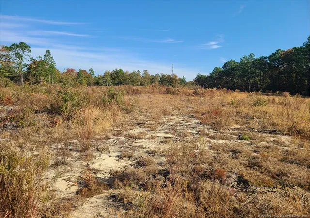 Homes for sale in Hamlet, NC | Tbd Hwy74 Bypass Hwy 74 Interchange, Hamlet, NC 28345 | MLS# 752989