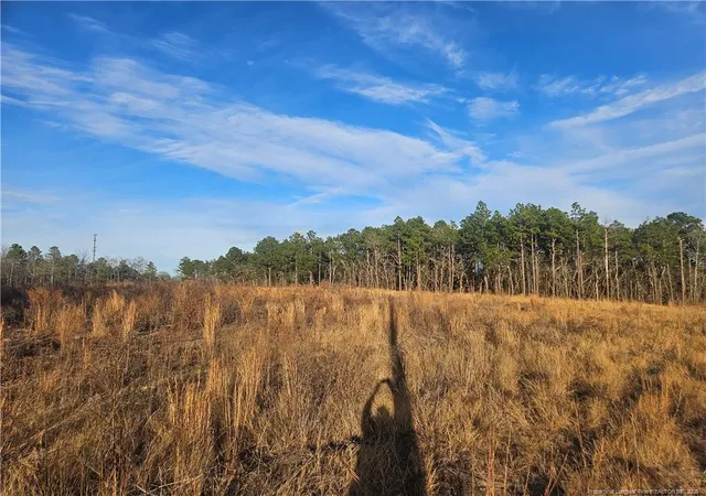 Homes for sale in Hamlet, NC | Tbd Hwy74 Bypass Hwy 74 Interchange, Hamlet, NC 28345 | MLS# 752989