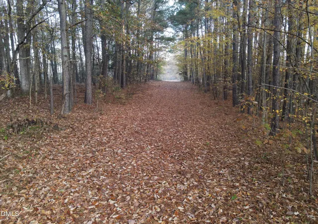 3rd image of 0 Mudham Rd Rd, Wendell, NC 27591 | MLS# 10132835